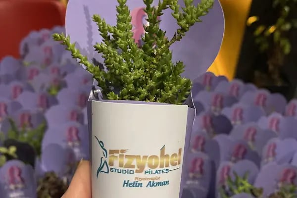 Fizyohel Studıo Alanya - Resim 5