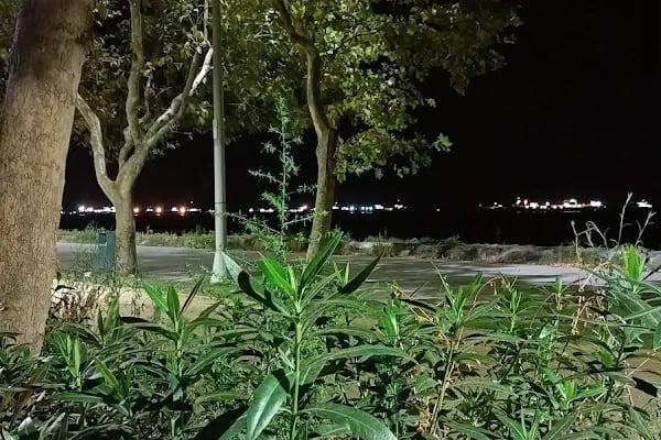 Avcılar Tatil Sitesi - Resim 19