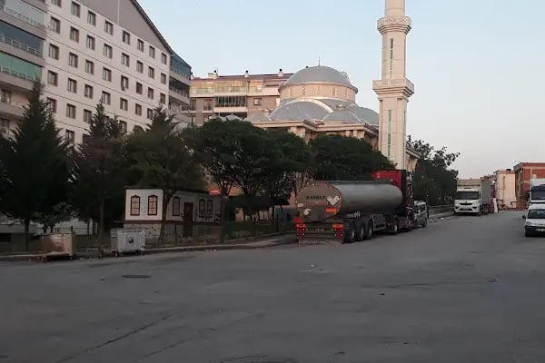 Hasköy Esentepe Cami - Resim 7