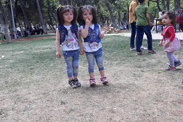 Gencolar Düğün Salonu - Resim 15