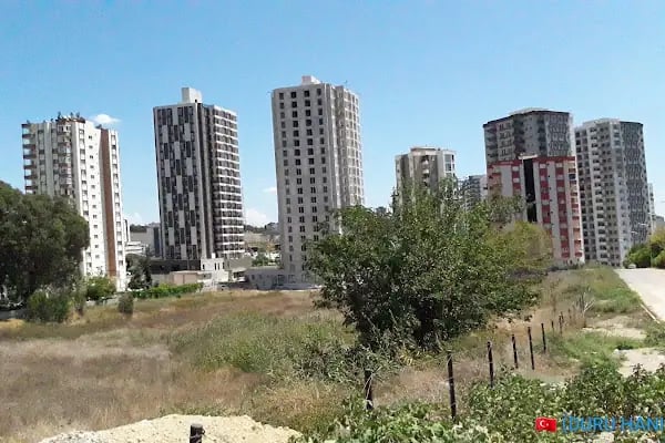 Çukurova Belediyesi Park Ve Bahçeler Müdürlüğü - Resim 4