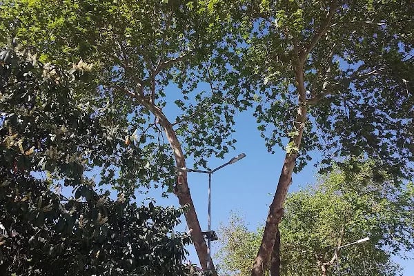 Tğm. Ali Rıza Akıncı Parkı - Resim 14