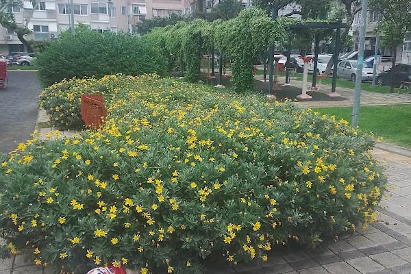 Tğm. Ali Rıza Akıncı Parkı - Resim 8