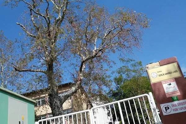 Bursa Gemlik Lisesi - Resim 6