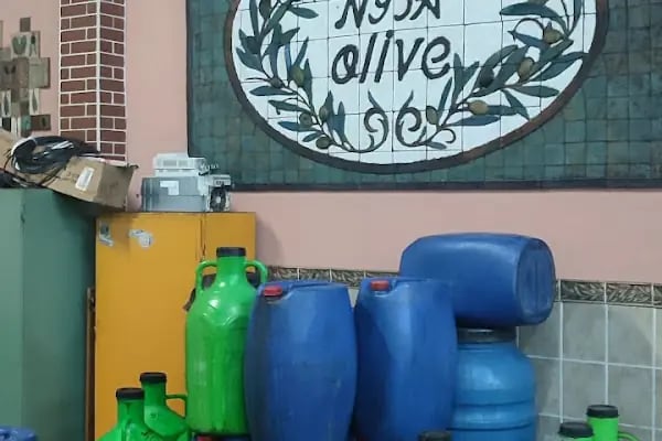 Nysa Olive Oil Zeytinyağı Fabrikası Satış Noktası - Resim 5