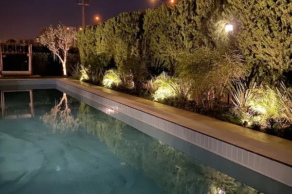 Palm City Premium - Resim 12