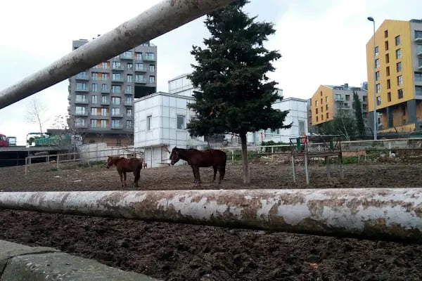İstanbul Üniversitesi Avcılar Kampüsü - Resim 20