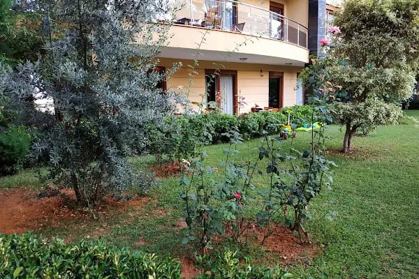Selçuklu Konakları - Resim 8