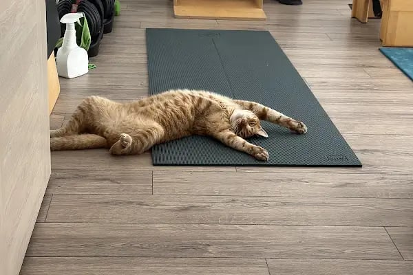 Zee Pilates Studio - Resim 17