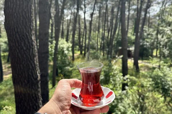 Doğa Kır Restoranı - Resim 11