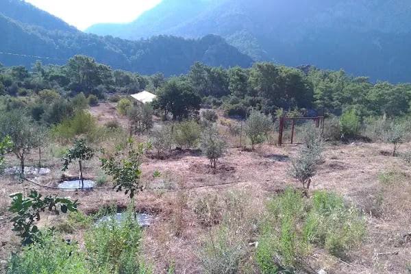 Mutlu Camping Nuri Öğretmenin Yeri - Resim 13