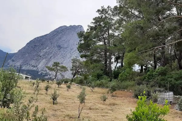 Mutlu Camping Nuri Öğretmenin Yeri - Resim 6