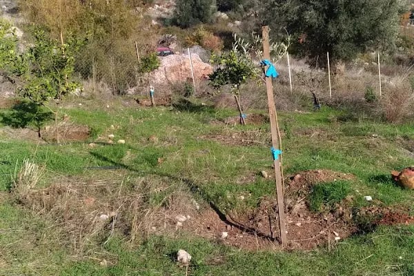 Mutlu Camping Nuri Öğretmenin Yeri - Resim 14