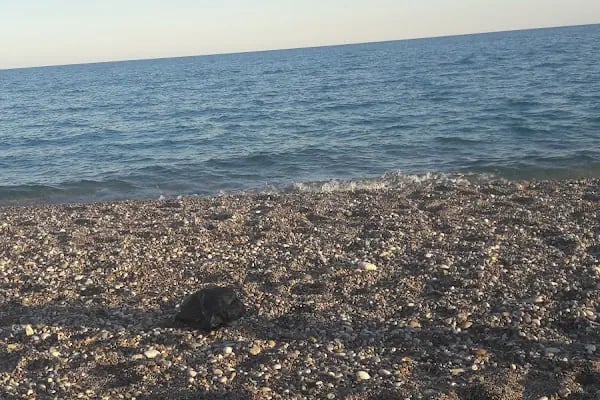 Mutlu Camping Nuri Öğretmenin Yeri - Resim 5