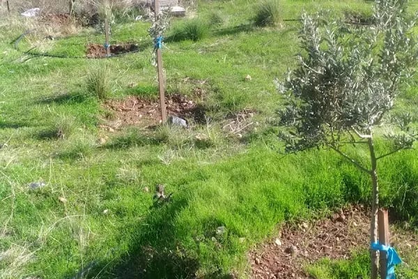 Mutlu Camping Nuri Öğretmenin Yeri - Resim 15