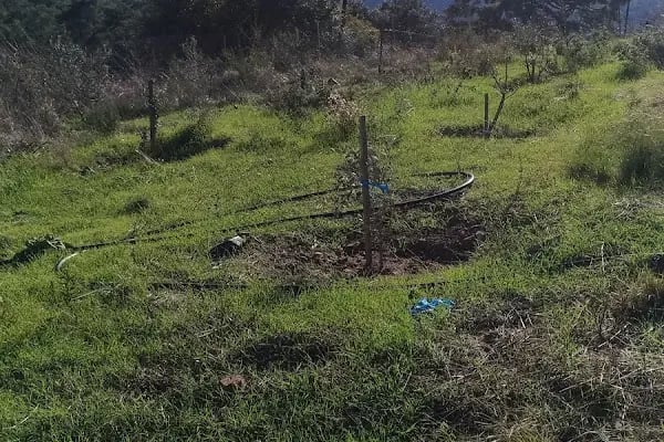 Mutlu Camping Nuri Öğretmenin Yeri - Resim 10