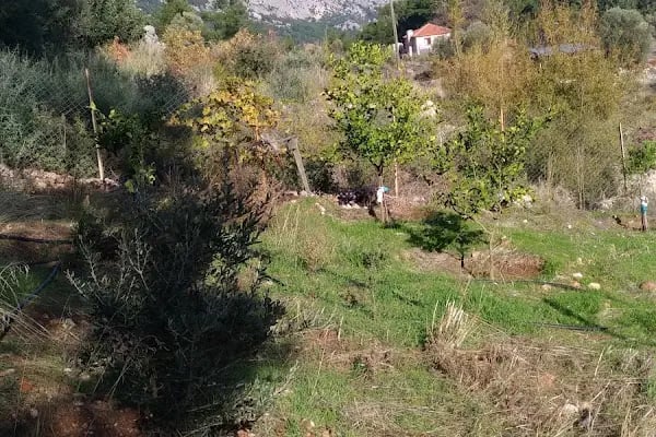 Mutlu Camping Nuri Öğretmenin Yeri - Resim 18