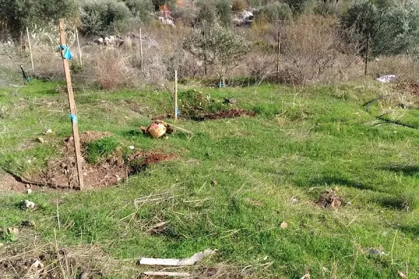 Mutlu Camping Nuri Öğretmenin Yeri - Resim 12