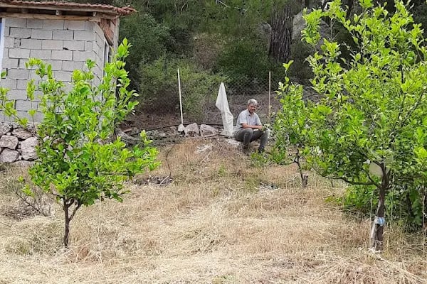 Mutlu Camping Nuri Öğretmenin Yeri - Resim 8