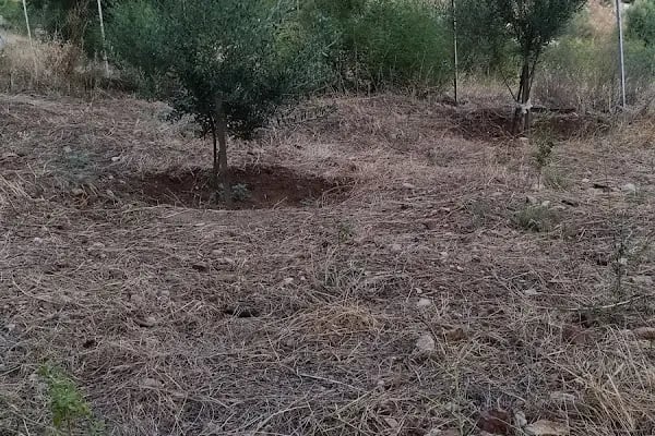 Mutlu Camping Nuri Öğretmenin Yeri - Resim 7