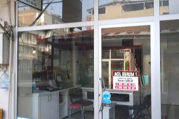 ALBATROS VETERİNER KLİNİĞİ - Resim 5