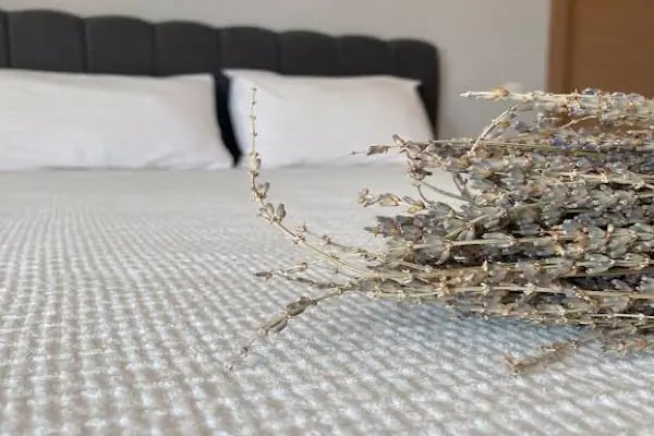 Zeynel Hotel - Resim 14