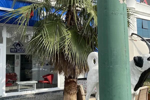 Vetplus Evcil Hayvan Kliniği - Resim 13