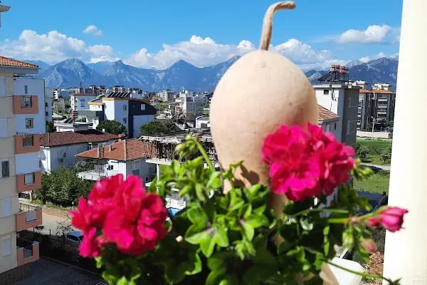 Döşemealtı Bahçeyaka Aile Sağlığı Merkezi - Resim 5