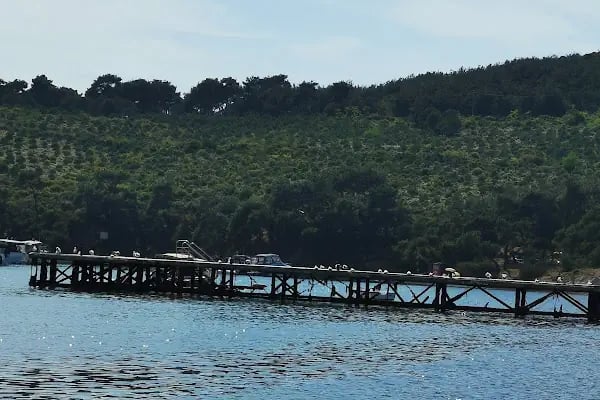 Ada Beach Club - Resim 14