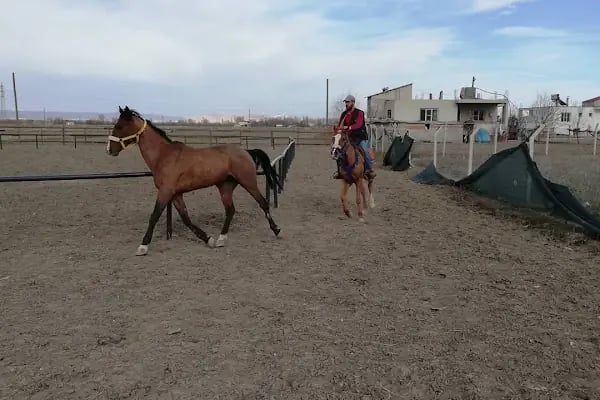 Aktay binicilik - Resim 1