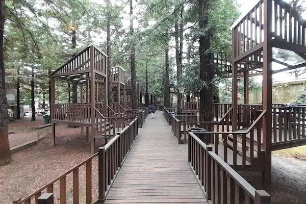 Beşirli EkoPark - Resim 3