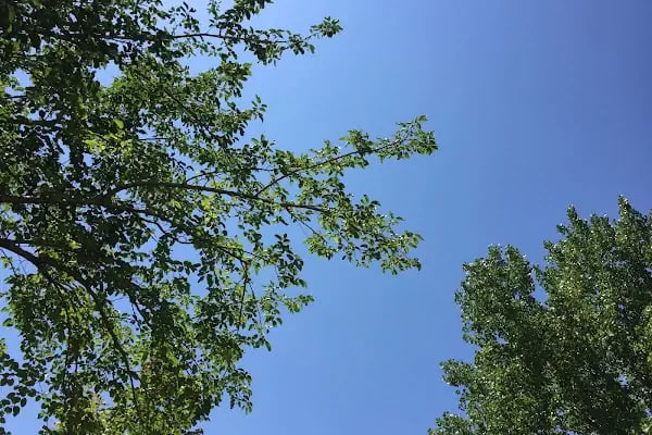 Çayırhan Karavan Kamp (FREE CAMPING) - Resim 19