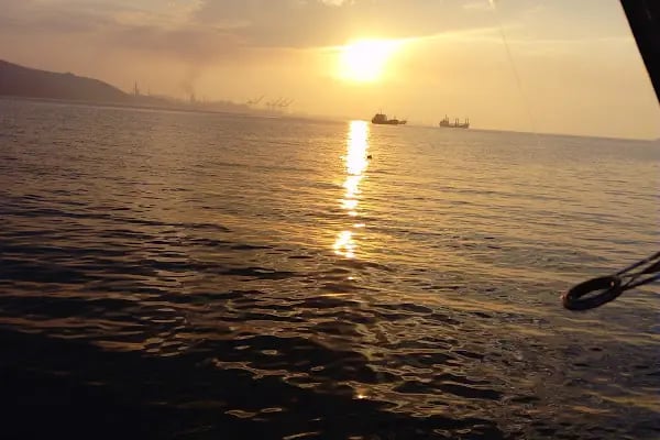Gemlik Sahil Sağlık Denetleme Merkezi Tabipliği - Resim 7
