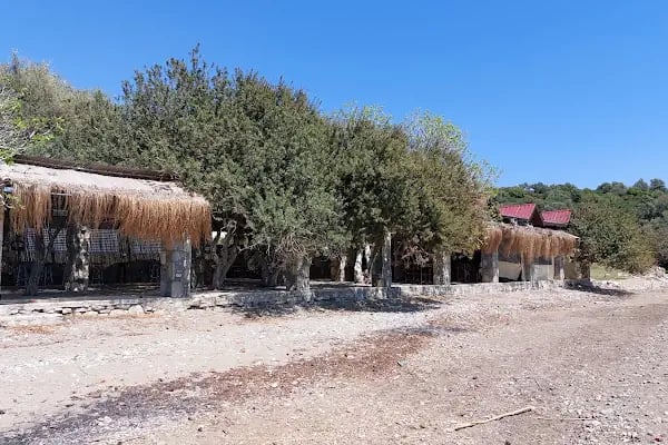 Mazi Sahil Pansiyon - Resim 18