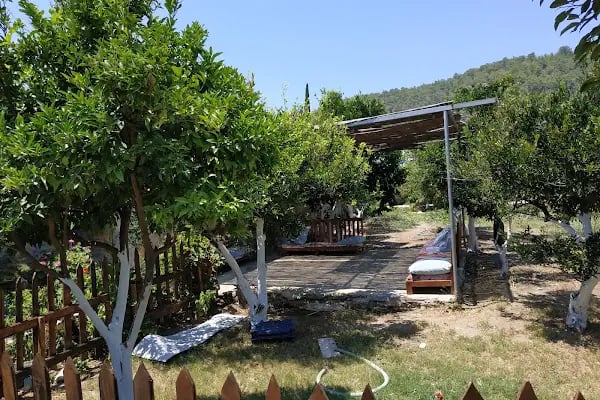 Mazi Sahil Pansiyon - Resim 15