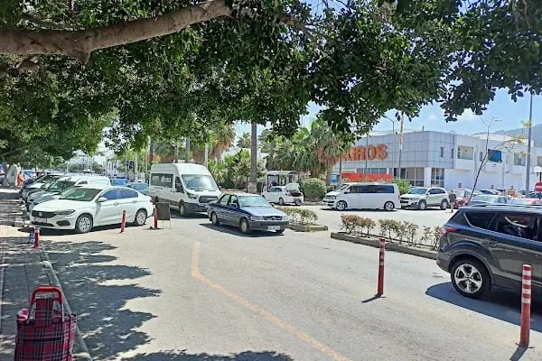 Turgutreis Taksi - Resim 3