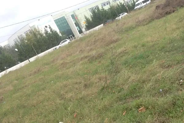 Cemile Yeşil Anadolu Lisesi - Resim 8