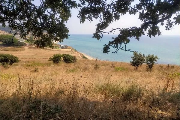 Enez KARAİNCİRLİ KÖYÜ Sahili - Resim 8