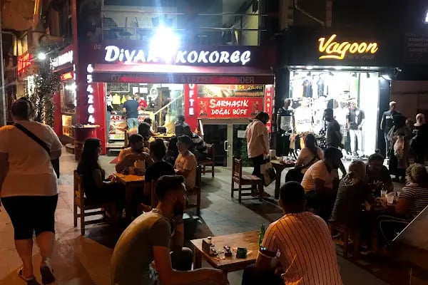DİYAR KOKOREÇ - Resim 5