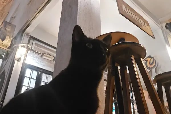 Aurora Coffee Shop - Resim 18