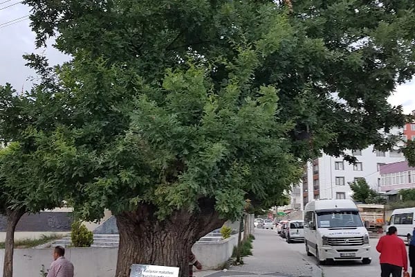 Kızılpınar Merkez Cami - Resim 9