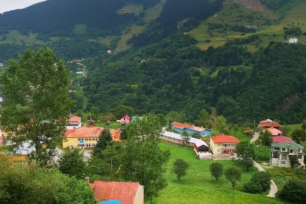 Güzel Yayla - Resim 13