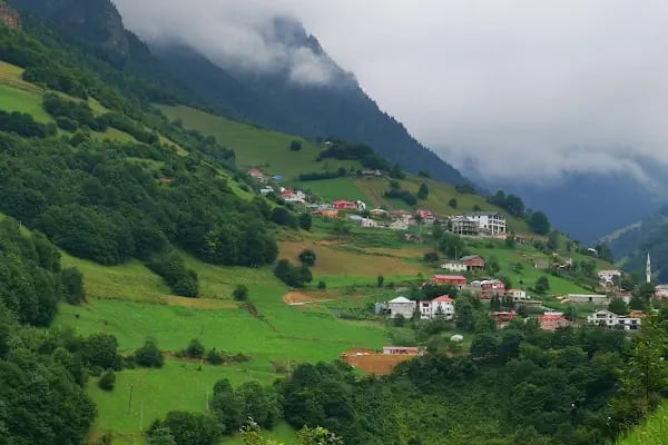 Güzel Yayla - Resim 2