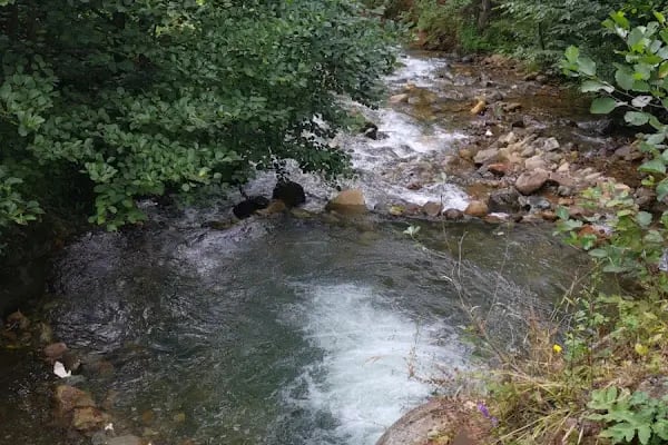 Güzel Yayla - Resim 3