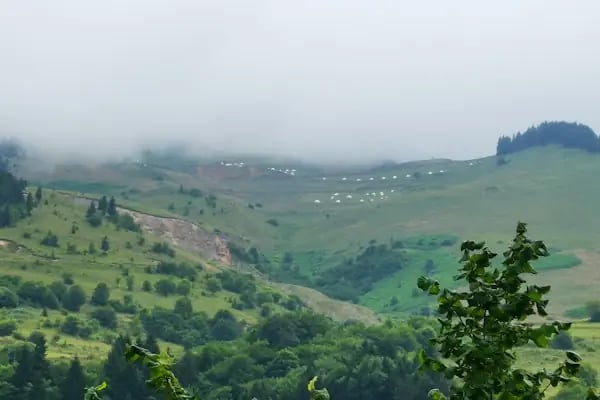 Güzel Yayla - Resim 6