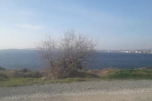 Konferans Dugun Salonu - Resim 4