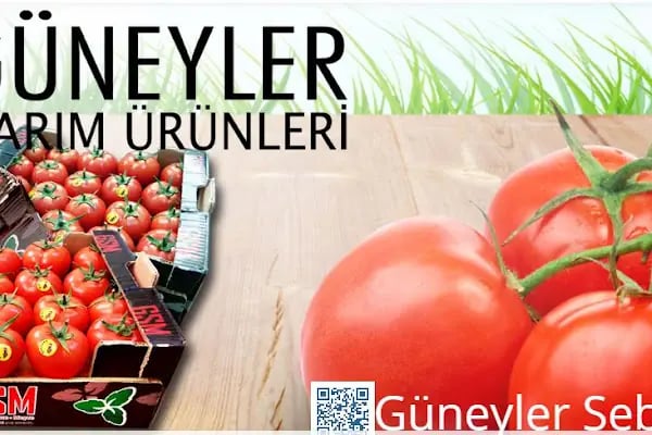 GÜNEYLER HOLDİNG A.Ş - Resim 4