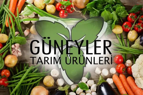 GÜNEYLER HOLDİNG A.Ş - Resim 3