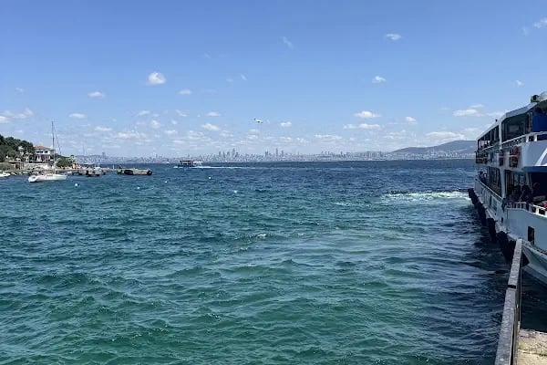Burgazada Mezarlığı - Resim 14