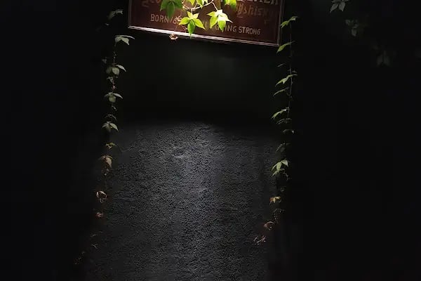 Ka Bar - Resim 18